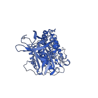 31858_7vaq_E_v1-0
V1EG of V/A-ATPase from Thermus thermophilus, high ATP, state3-2