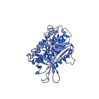 31858_7vaq_F_v1-0
V1EG of V/A-ATPase from Thermus thermophilus, high ATP, state3-2