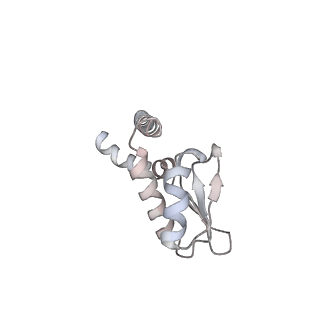 31858_7vaq_J_v1-0
V1EG of V/A-ATPase from Thermus thermophilus, high ATP, state3-2