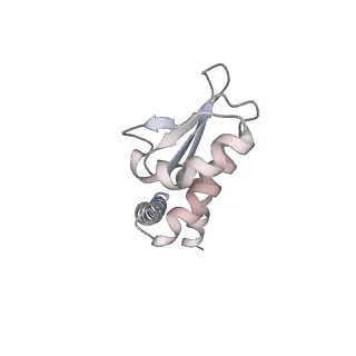 31858_7vaq_L_v1-0
V1EG of V/A-ATPase from Thermus thermophilus, high ATP, state3-2