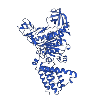 31860_7var_A_v1-0
V1EG domain of V/A-ATPase from Thermus thermophilus at low ATP concentration, state1-1