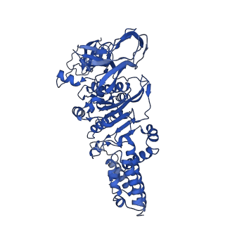 31860_7var_B_v1-0
V1EG domain of V/A-ATPase from Thermus thermophilus at low ATP concentration, state1-1