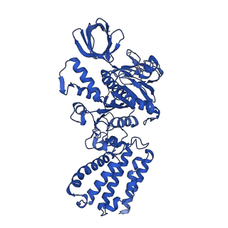 31860_7var_C_v1-0
V1EG domain of V/A-ATPase from Thermus thermophilus at low ATP concentration, state1-1