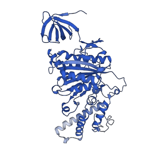 31860_7var_E_v1-0
V1EG domain of V/A-ATPase from Thermus thermophilus at low ATP concentration, state1-1