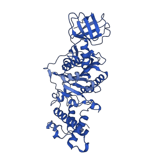 31860_7var_F_v1-0
V1EG domain of V/A-ATPase from Thermus thermophilus at low ATP concentration, state1-1