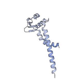 31860_7var_J_v1-0
V1EG domain of V/A-ATPase from Thermus thermophilus at low ATP concentration, state1-1