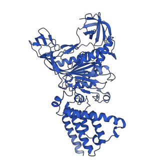 31861_7vas_A_v1-0
V1EG domain of V/A-ATPase from Thermus thermophilus at low ATP concentration, state1-2