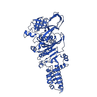 31861_7vas_B_v1-0
V1EG domain of V/A-ATPase from Thermus thermophilus at low ATP concentration, state1-2