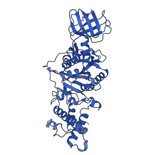 31861_7vas_F_v1-0
V1EG domain of V/A-ATPase from Thermus thermophilus at low ATP concentration, state1-2