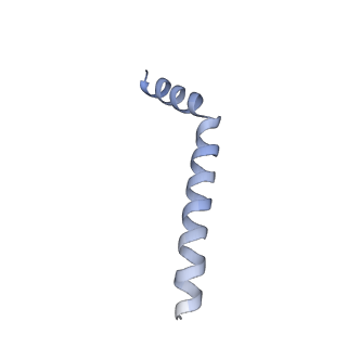 31861_7vas_I_v1-0
V1EG domain of V/A-ATPase from Thermus thermophilus at low ATP concentration, state1-2
