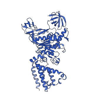 31863_7vat_B_v1-0
V1EG of V/A-ATPase from Thermus thermophilus at low ATP concentration, state2-1