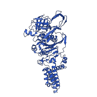 31863_7vat_C_v1-0
V1EG of V/A-ATPase from Thermus thermophilus at low ATP concentration, state2-1