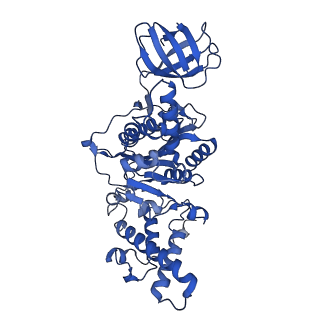 31863_7vat_D_v1-0
V1EG of V/A-ATPase from Thermus thermophilus at low ATP concentration, state2-1