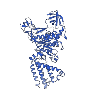 31864_7vau_B_v1-0
V1EG of V/A-ATPase from Thermus thermophilus at low ATP concentration, state2-2