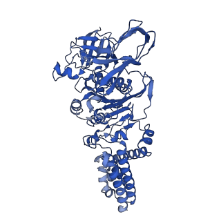31864_7vau_C_v1-0
V1EG of V/A-ATPase from Thermus thermophilus at low ATP concentration, state2-2