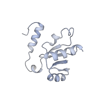 31864_7vau_H_v1-0
V1EG of V/A-ATPase from Thermus thermophilus at low ATP concentration, state2-2