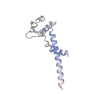31864_7vau_J_v1-0
V1EG of V/A-ATPase from Thermus thermophilus at low ATP concentration, state2-2