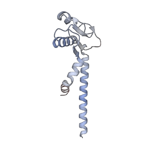 31864_7vau_L_v1-0
V1EG of V/A-ATPase from Thermus thermophilus at low ATP concentration, state2-2