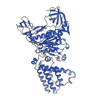 31866_7vav_C_v1-0
V1EG of V/A-ATPase from Thermus thermophilus at low ATP concentration, state3