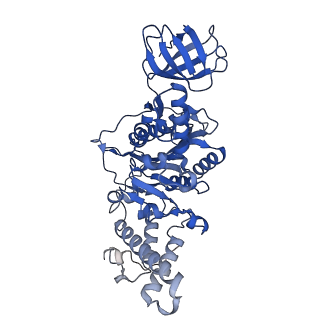 31866_7vav_E_v1-0
V1EG of V/A-ATPase from Thermus thermophilus at low ATP concentration, state3