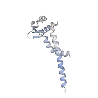 31866_7vav_J_v1-0
V1EG of V/A-ATPase from Thermus thermophilus at low ATP concentration, state3