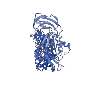 31868_7vaw_A_v1-0
V1EG domain of V/A-ATPase from Thermus thermophilus at saturated ATP-gamma-S condition, state1-1