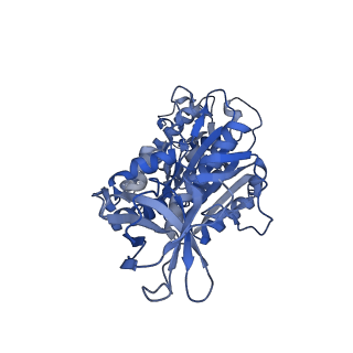 31868_7vaw_F_v1-0
V1EG domain of V/A-ATPase from Thermus thermophilus at saturated ATP-gamma-S condition, state1-1