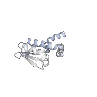 31868_7vaw_L_v1-0
V1EG domain of V/A-ATPase from Thermus thermophilus at saturated ATP-gamma-S condition, state1-1