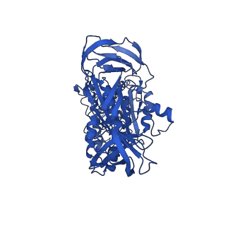 31869_7vax_A_v1-0
V1EG of V/A-ATPase from Thermus thermophilus at saturated ATP-gamma-S condition, state1-2