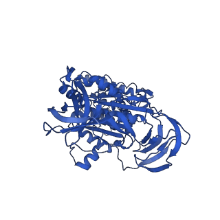 31869_7vax_C_v1-0
V1EG of V/A-ATPase from Thermus thermophilus at saturated ATP-gamma-S condition, state1-2