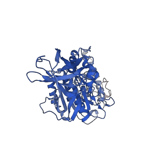 31869_7vax_E_v1-0
V1EG of V/A-ATPase from Thermus thermophilus at saturated ATP-gamma-S condition, state1-2