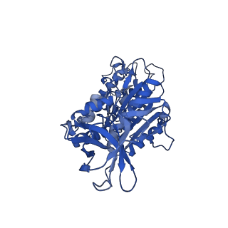 31869_7vax_F_v1-0
V1EG of V/A-ATPase from Thermus thermophilus at saturated ATP-gamma-S condition, state1-2
