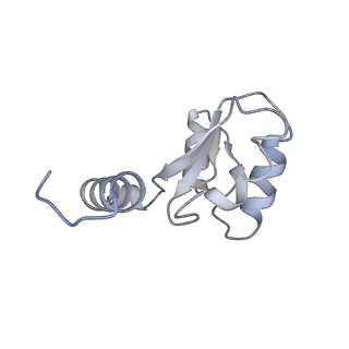 31869_7vax_H_v1-0
V1EG of V/A-ATPase from Thermus thermophilus at saturated ATP-gamma-S condition, state1-2