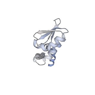 31869_7vax_J_v1-0
V1EG of V/A-ATPase from Thermus thermophilus at saturated ATP-gamma-S condition, state1-2