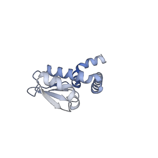 31869_7vax_L_v1-0
V1EG of V/A-ATPase from Thermus thermophilus at saturated ATP-gamma-S condition, state1-2