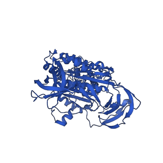 31871_7vay_A_v1-0
V1EG domain of V/A-ATPase from Thermus thermophilus at saturated ATP-gamma-S condition, state2