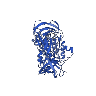 31871_7vay_B_v1-0
V1EG domain of V/A-ATPase from Thermus thermophilus at saturated ATP-gamma-S condition, state2