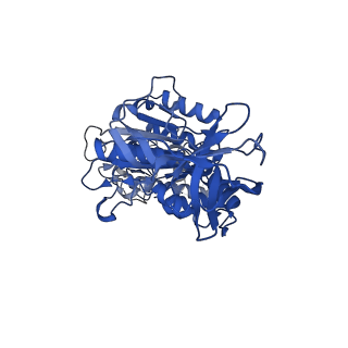 31871_7vay_E_v1-0
V1EG domain of V/A-ATPase from Thermus thermophilus at saturated ATP-gamma-S condition, state2