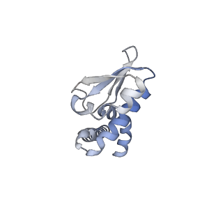 31871_7vay_J_v1-0
V1EG domain of V/A-ATPase from Thermus thermophilus at saturated ATP-gamma-S condition, state2