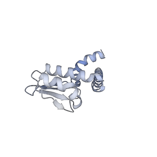 31871_7vay_L_v1-0
V1EG domain of V/A-ATPase from Thermus thermophilus at saturated ATP-gamma-S condition, state2