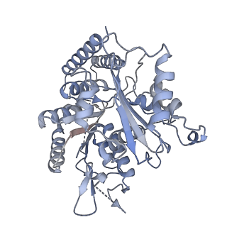 43085_8va2_a_v1-0
Symmetry expanded map of 2 gamma-tubulins bound to 2 alpha tubulins in gamma tubulin ring complex capped microtubule end.