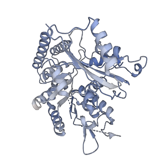 43085_8va2_b_v1-0
Symmetry expanded map of 2 gamma-tubulins bound to 2 alpha tubulins in gamma tubulin ring complex capped microtubule end.