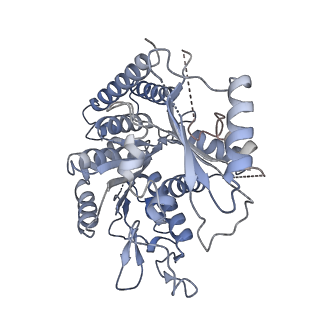 43085_8va2_g_v1-0
Symmetry expanded map of 2 gamma-tubulins bound to 2 alpha tubulins in gamma tubulin ring complex capped microtubule end.