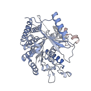 43085_8va2_h_v1-0
Symmetry expanded map of 2 gamma-tubulins bound to 2 alpha tubulins in gamma tubulin ring complex capped microtubule end.