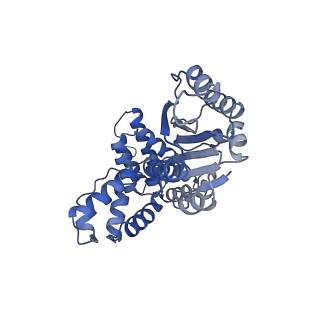 43094_8val_A_v1-0
Structure of the E. coli clamp loader bound to the beta clamp in a Open-DNAp/t conformation