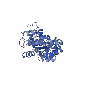 43094_8val_C_v1-0
Structure of the E. coli clamp loader bound to the beta clamp in a Open-DNAp/t conformation