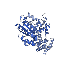 43094_8val_D_v1-0
Structure of the E. coli clamp loader bound to the beta clamp in a Open-DNAp/t conformation