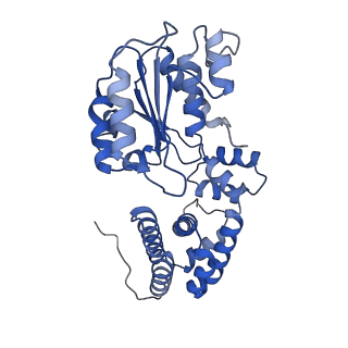 43094_8val_E_v1-0
Structure of the E. coli clamp loader bound to the beta clamp in a Open-DNAp/t conformation