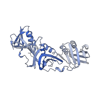 43094_8val_F_v1-0
Structure of the E. coli clamp loader bound to the beta clamp in a Open-DNAp/t conformation