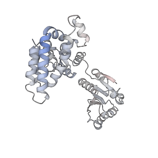 43095_8vam_A_v1-0
Structure of the E. coli clamp loader bound to the beta clamp in a Semi-Open conformation